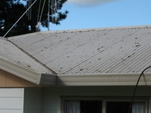 Roof Clean (Before)