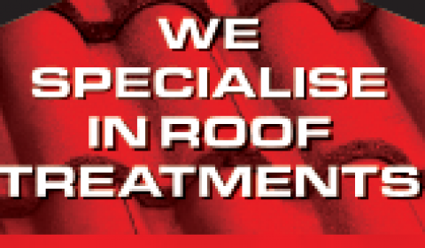 Citywide Roof Cleaning