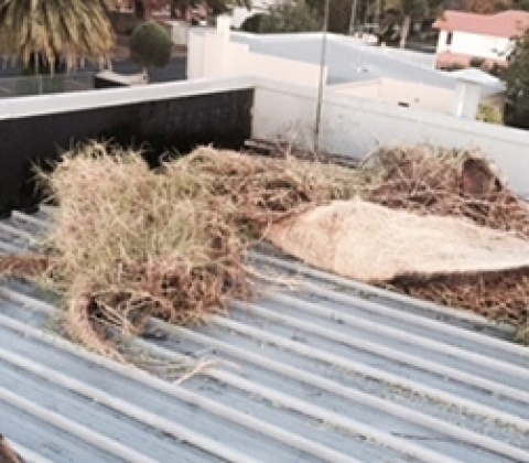 Gutters and Spouts