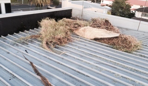 Gutters & Spouts